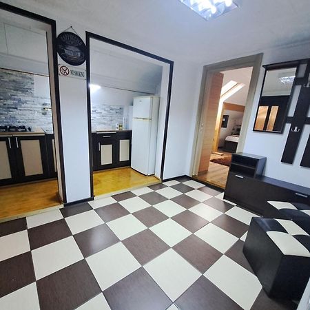 Shelby Accommodation -Adult Only- Sinaia Extérieur photo