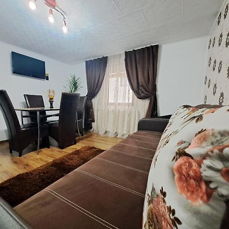 Shelby Accommodation -Adult Only- Sinaia Extérieur photo