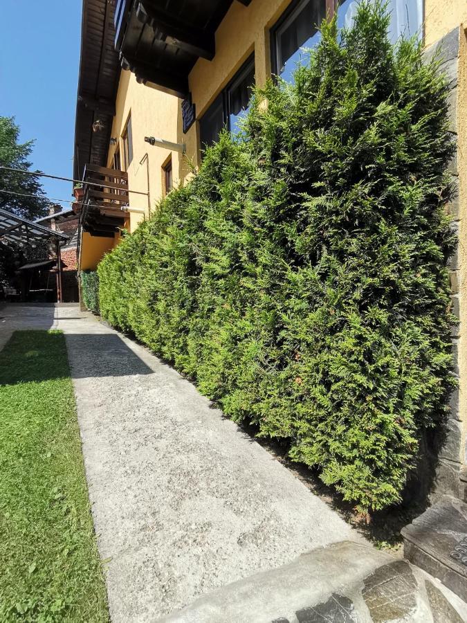 Shelby Accommodation -Adult Only- Sinaia Extérieur photo