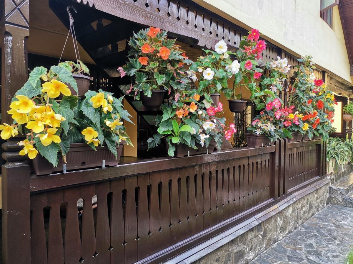 Shelby Accommodation -Adult Only- Sinaia Extérieur photo