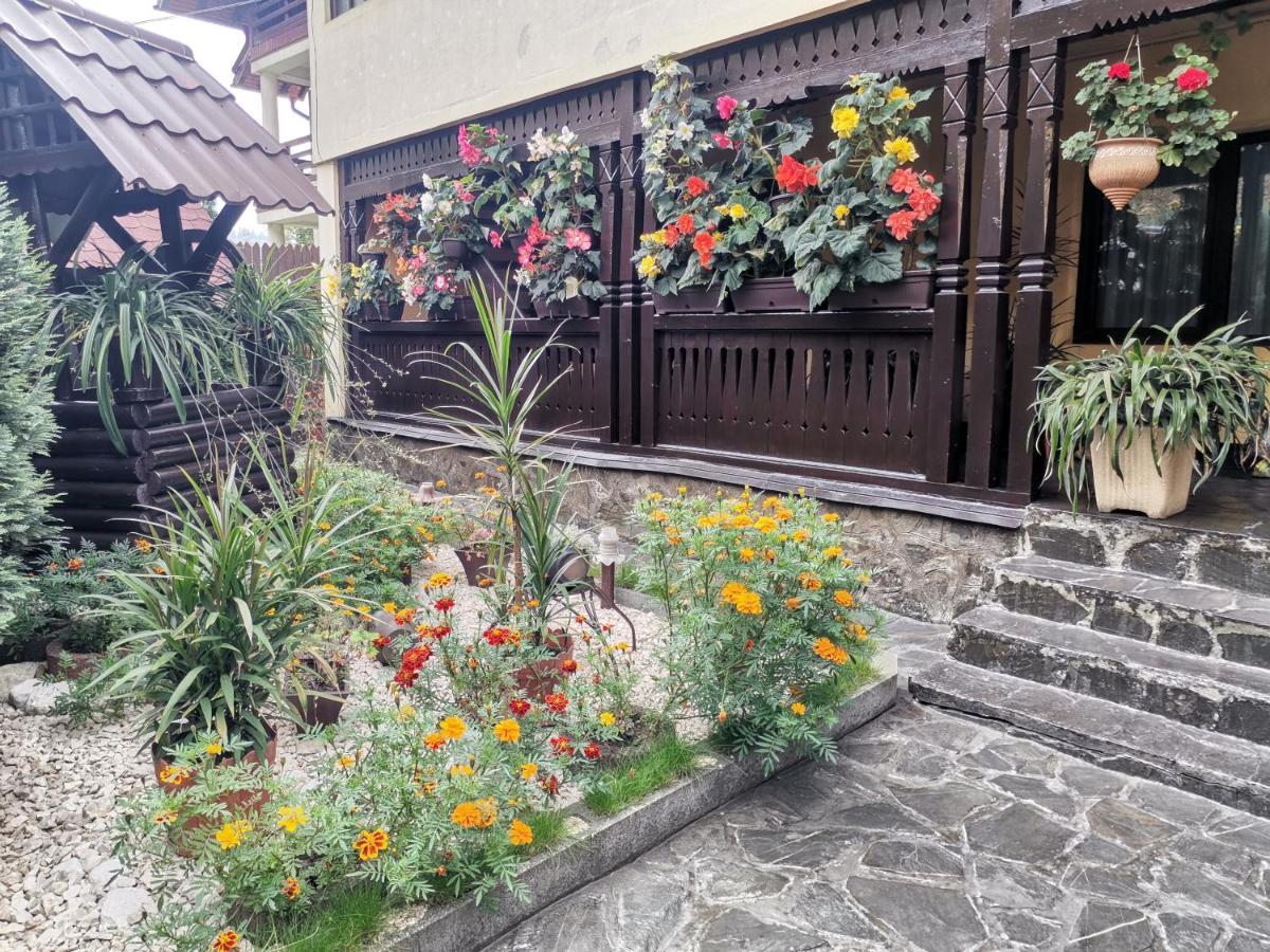 Shelby Accommodation -Adult Only- Sinaia Extérieur photo