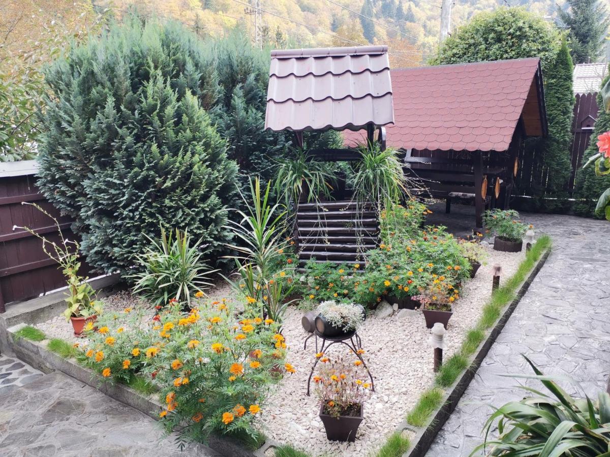 Shelby Accommodation -Adult Only- Sinaia Extérieur photo
