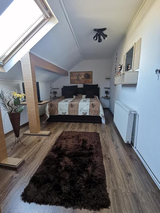 Shelby Accommodation -Adult Only- Sinaia Chambre photo