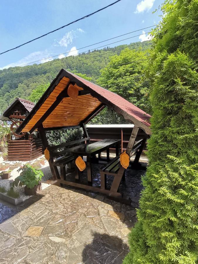 Shelby Accommodation -Adult Only- Sinaia Extérieur photo