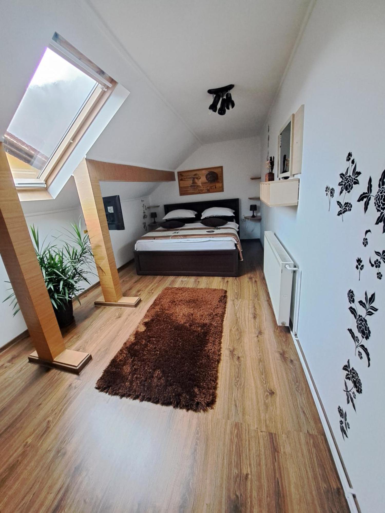 Shelby Accommodation -Adult Only- Sinaia Extérieur photo